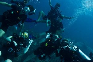 duikles koh tao scuba center asia