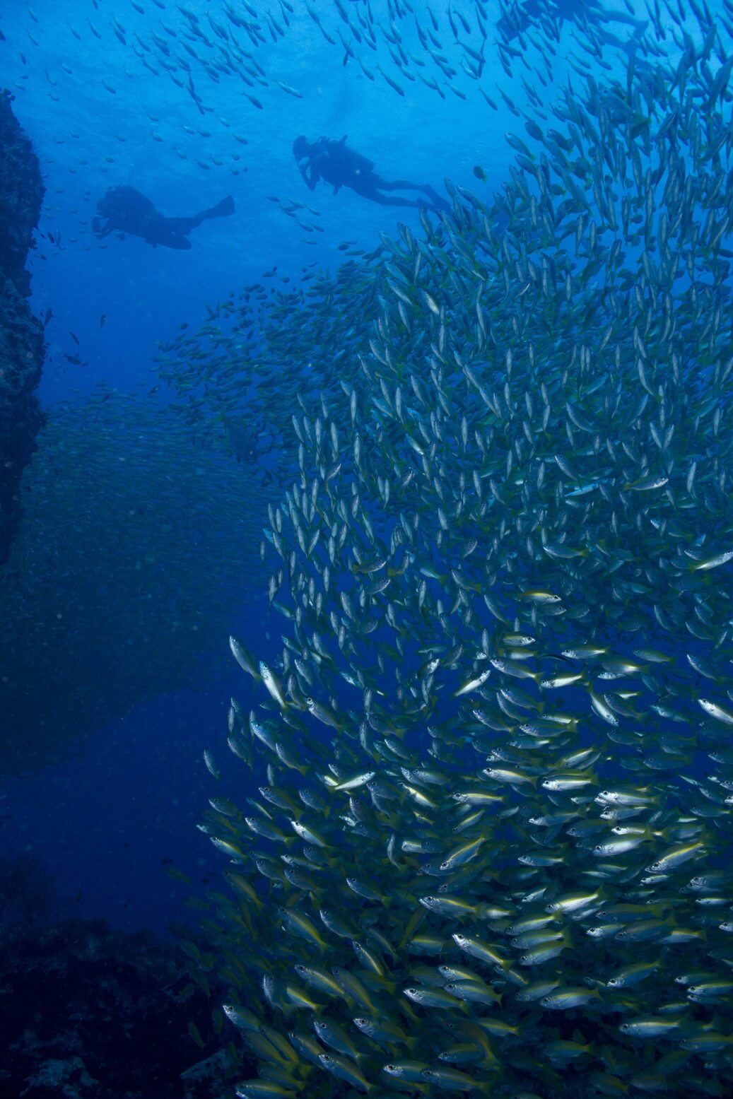 Ceningan Wall Nusa Lembongan