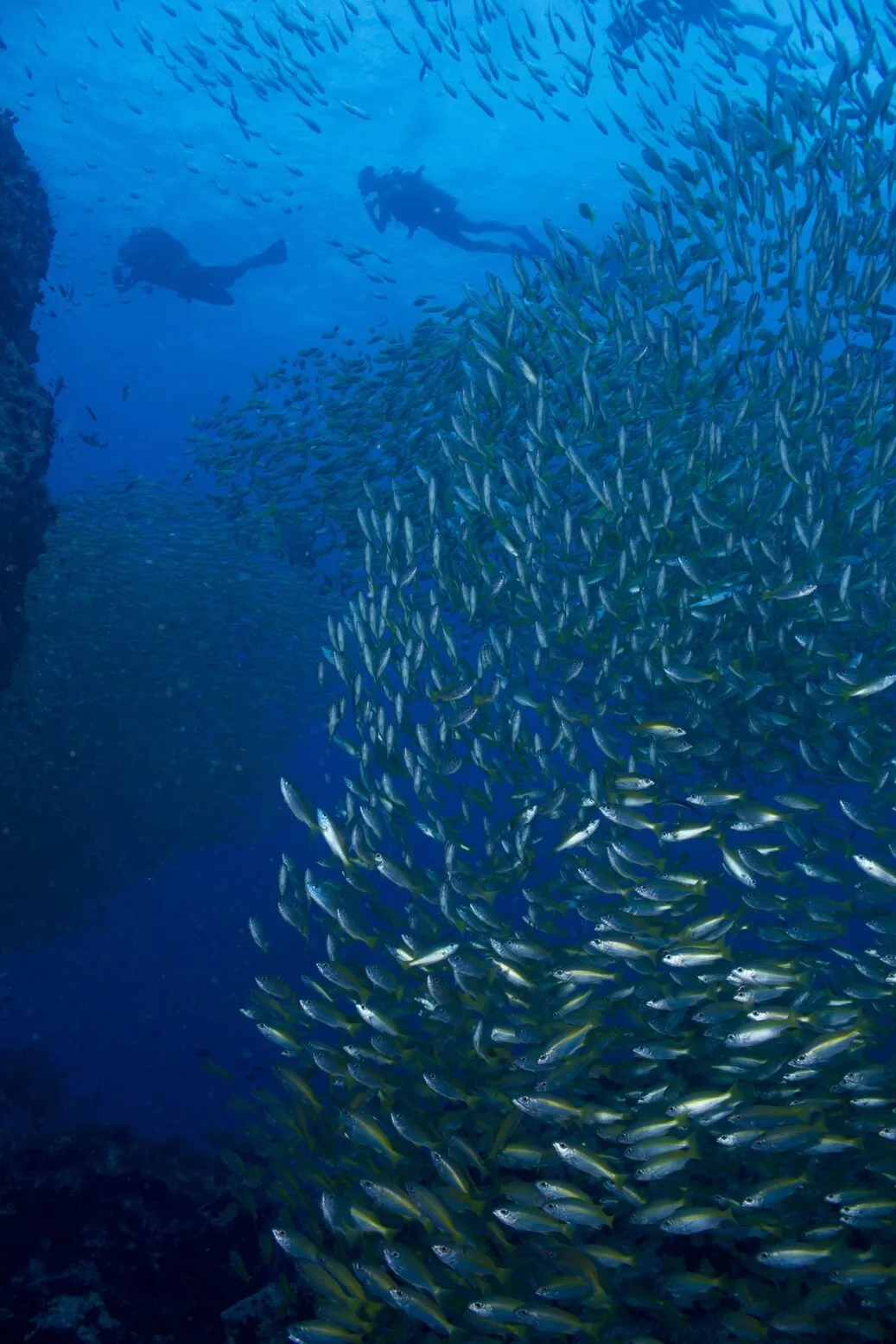 Ceningan Wall Nusa Lembongan