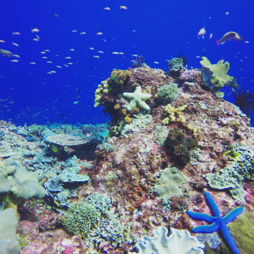 Gamat Bay Nusa Lembongan