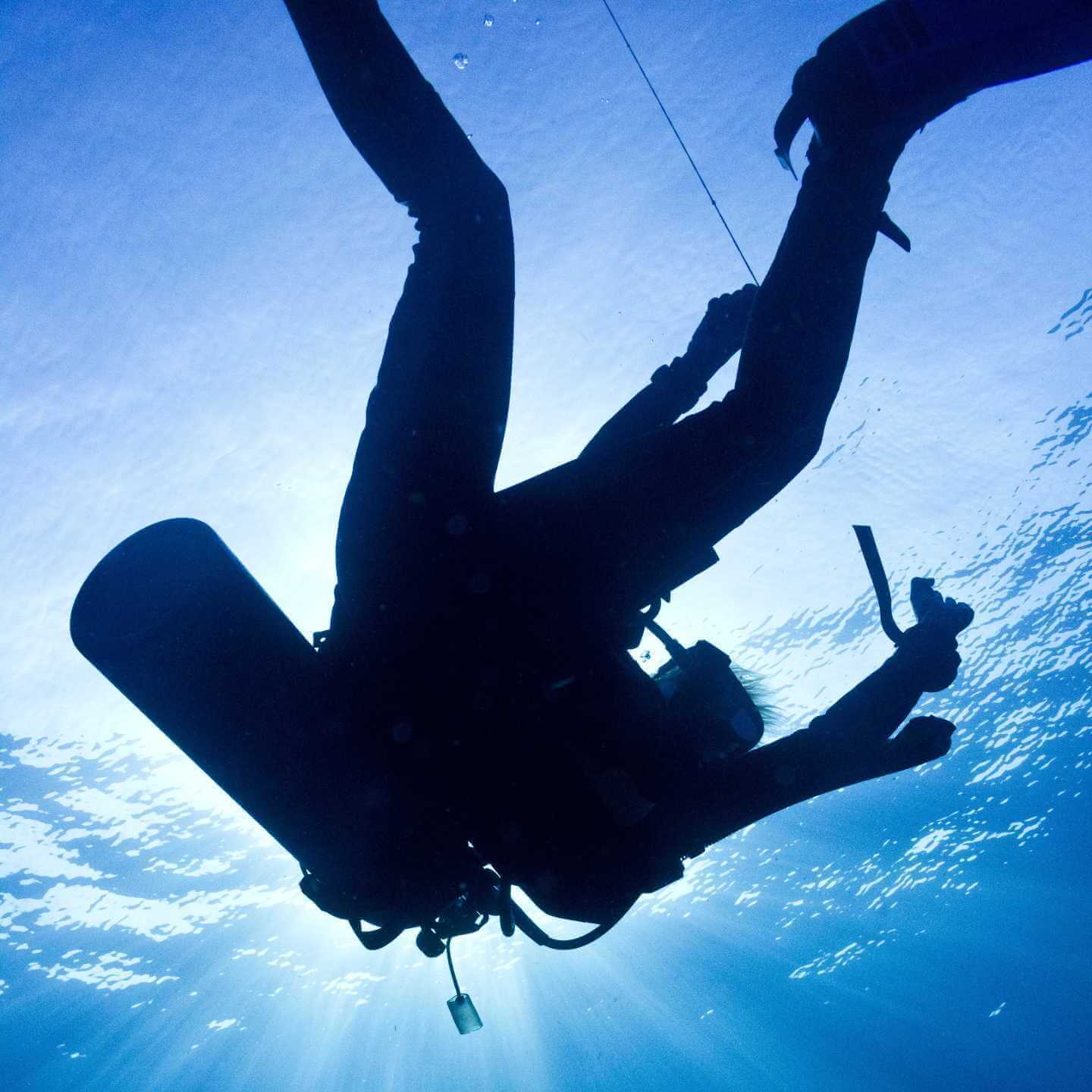 Scuba Center Asia Resque Diving Bali