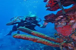 Underwater Diving