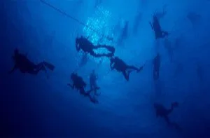 Underwater Diving