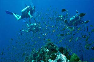 Muck Diving Lembongan