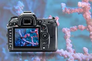 underwater-dslr-camera