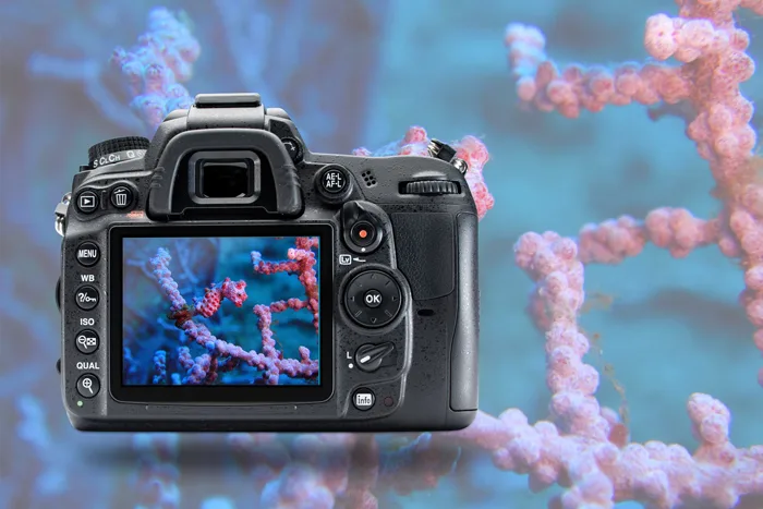 underwater shoot