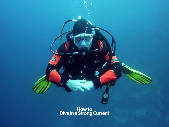 dive in a strong current