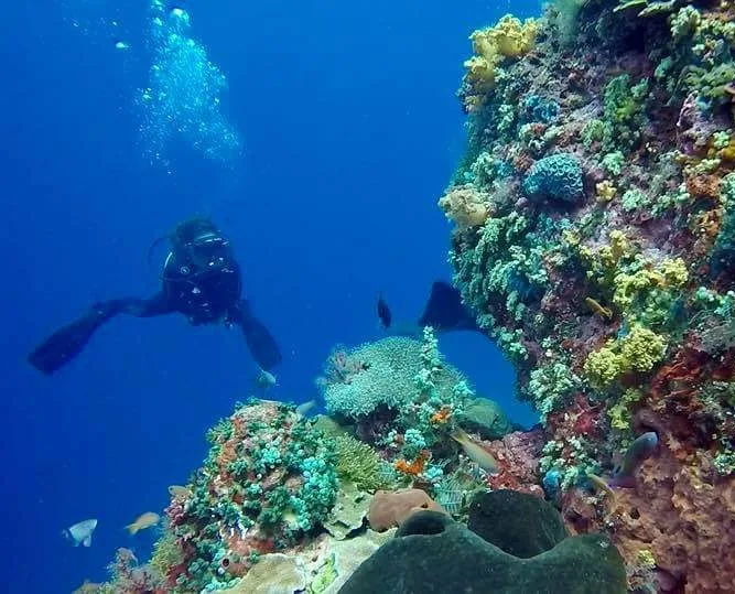 go diving lembongan scuba center asia