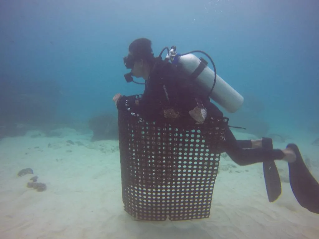 Scuba Center Asia Dive Against Debris Lembongan