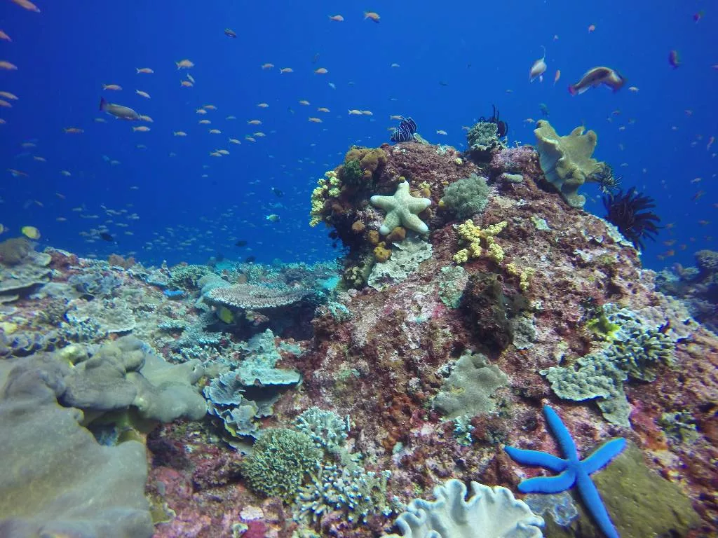 Scuba Center Asia Lembongan Bali