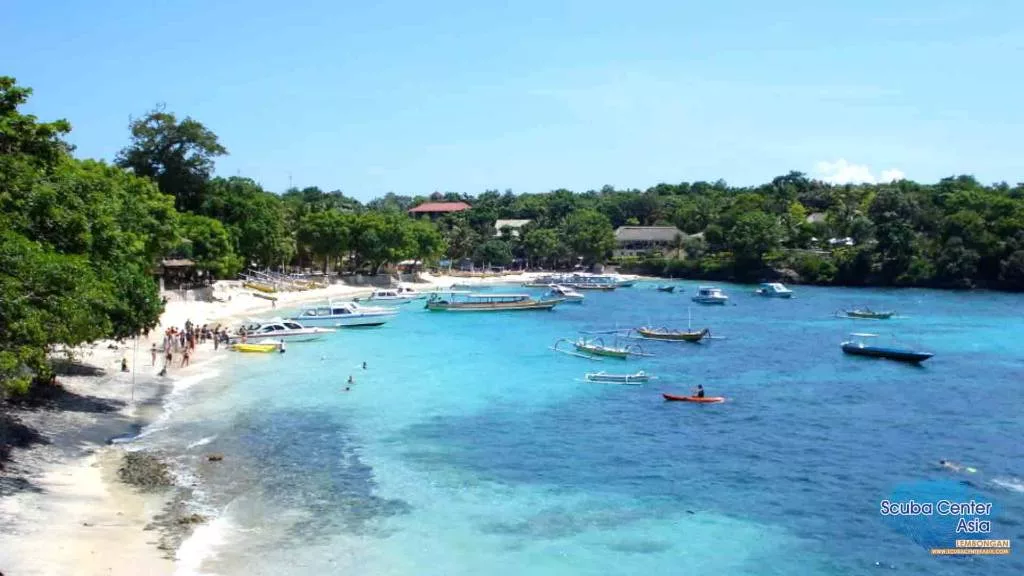 Scuba Center Asia Mushroom-Bay