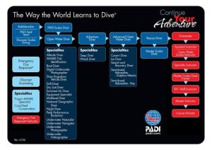 PADI dive career