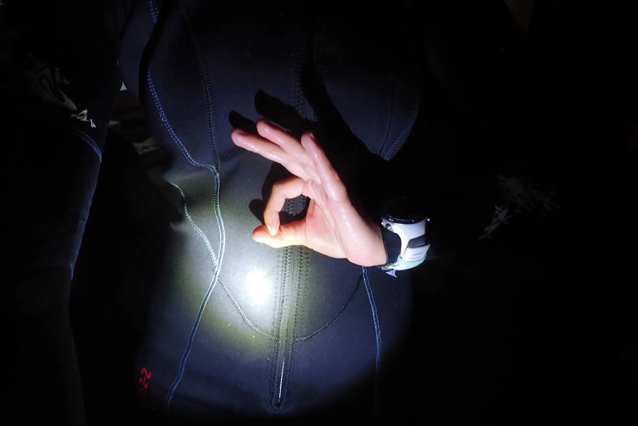 ok handsignal