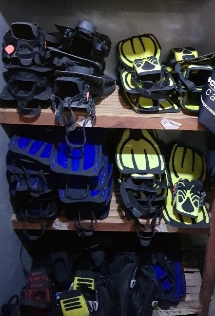 scuba diving fins