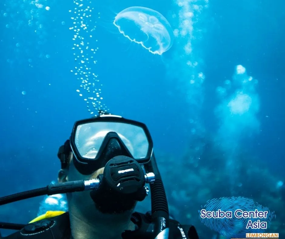 With good health and fitness, both young and older divers are able to enjoy the sport for many years.