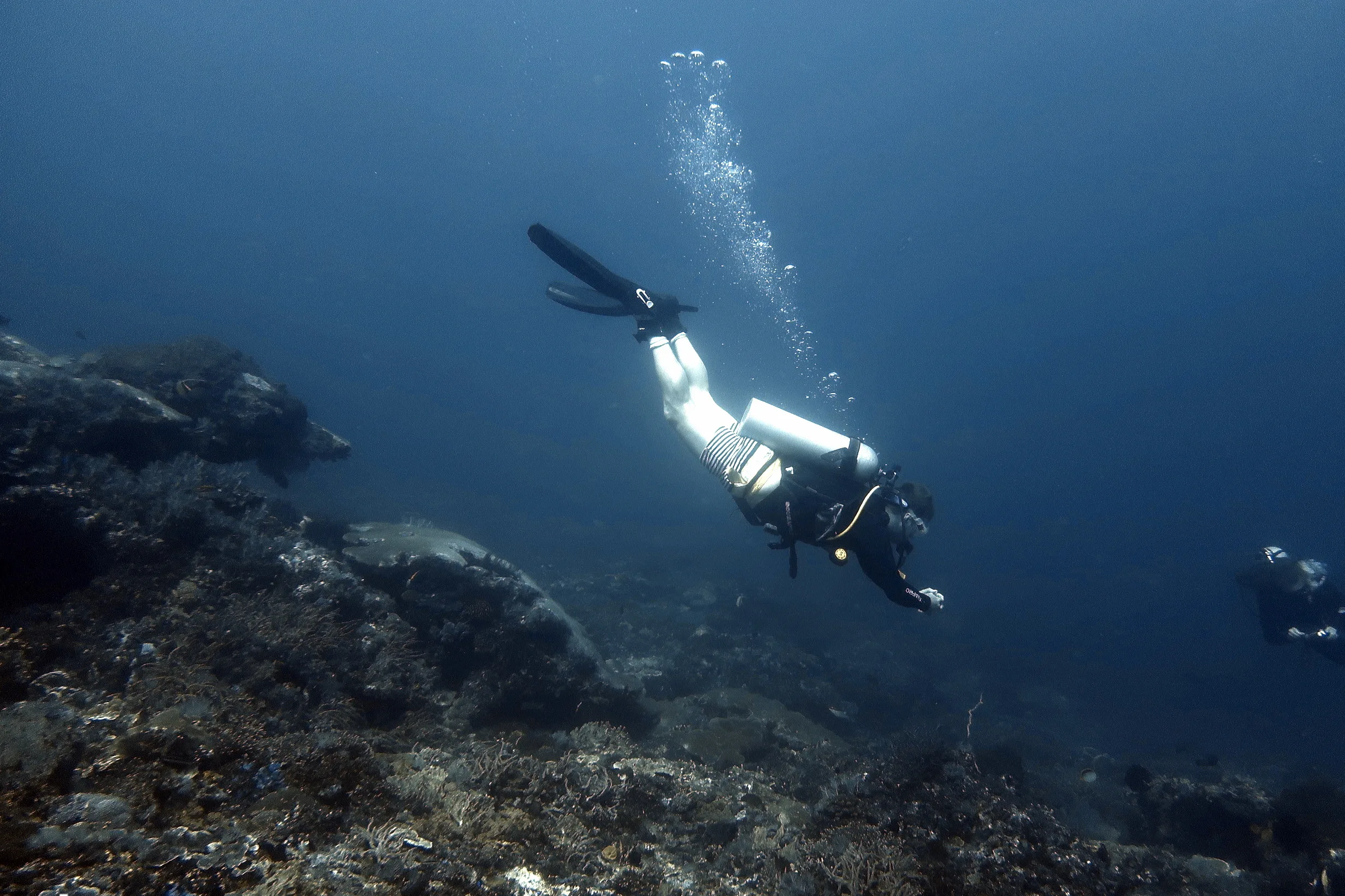 struggling to go down diving scuba center asia