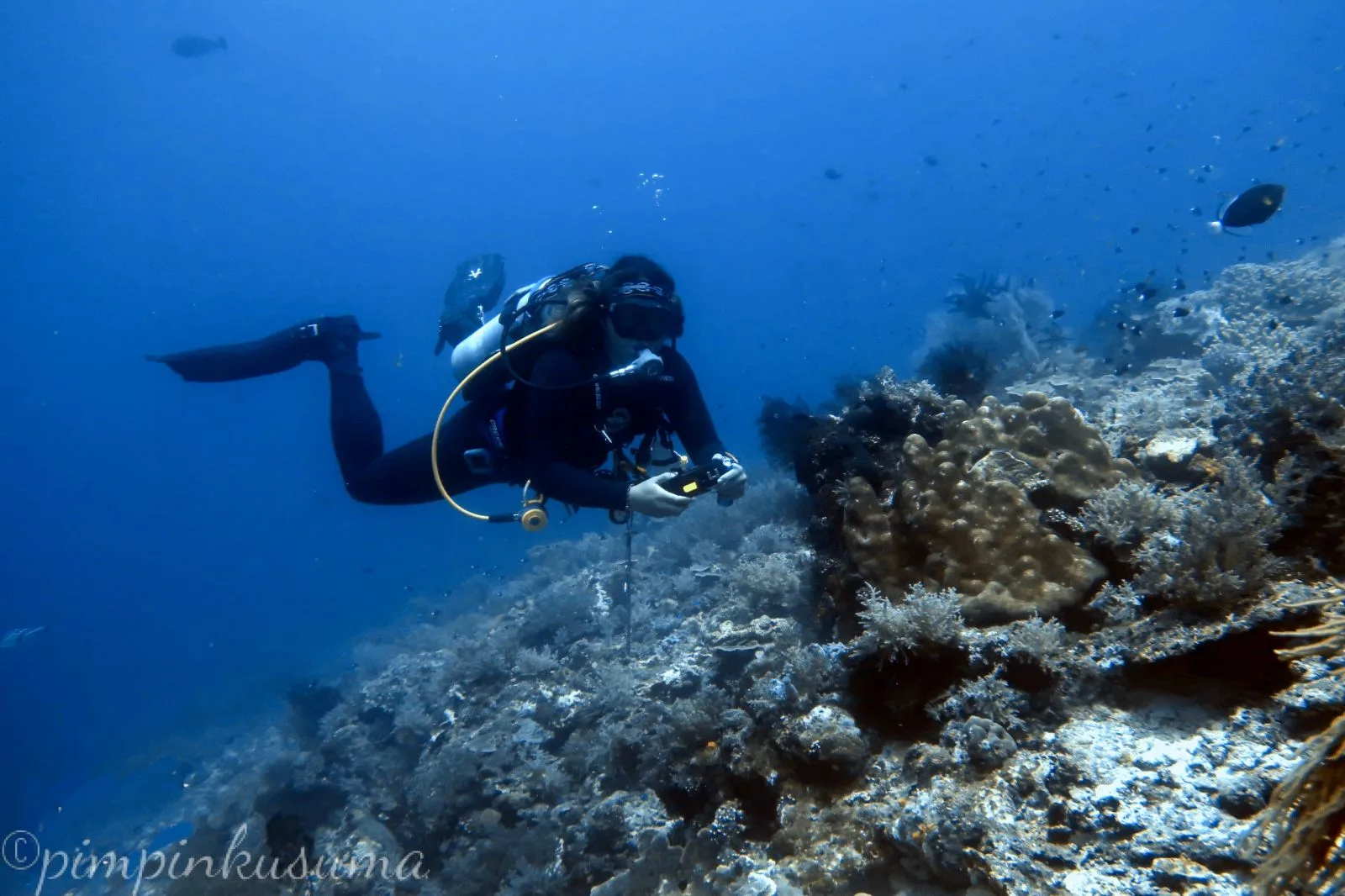 buoyancy control while scuba diving