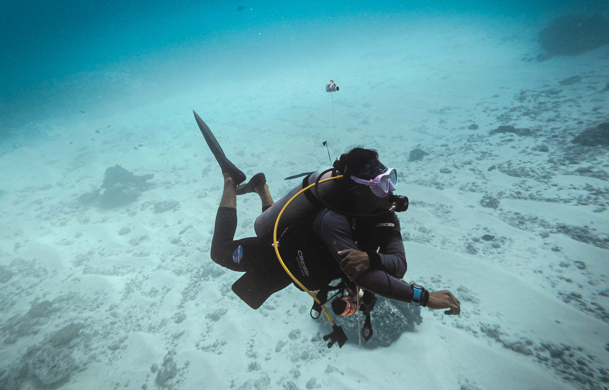 PADI peak performance buoyancy specialty course at Scuba Center Asia  teaches you perfect trim at any condition like this diver shows underwater.