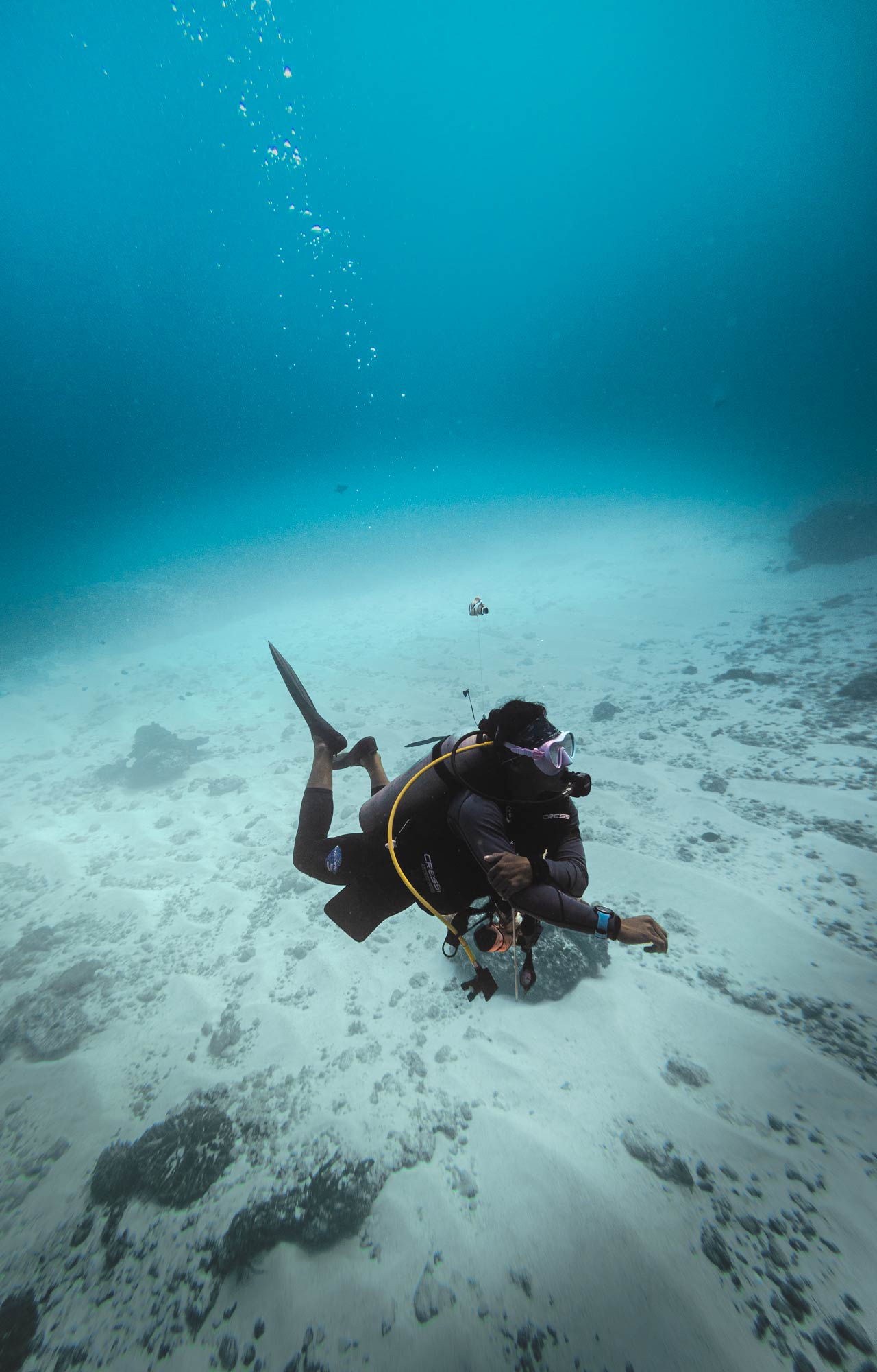 PADI peak performance buoyancy specialty course at Scuba Center Asia teaches you perfect trim at any condition like this diver shows underwater.