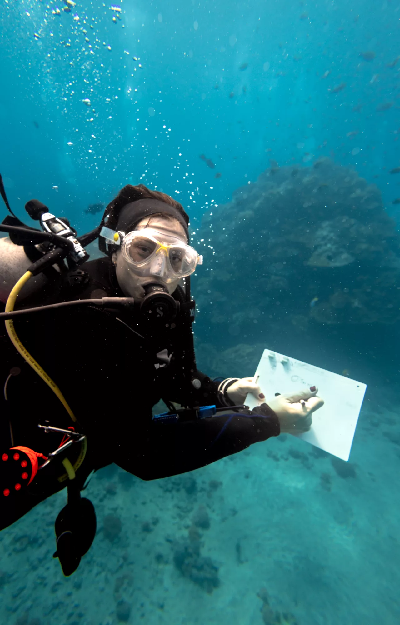 a diver underwater practising search & recovery skills marking data on a slate